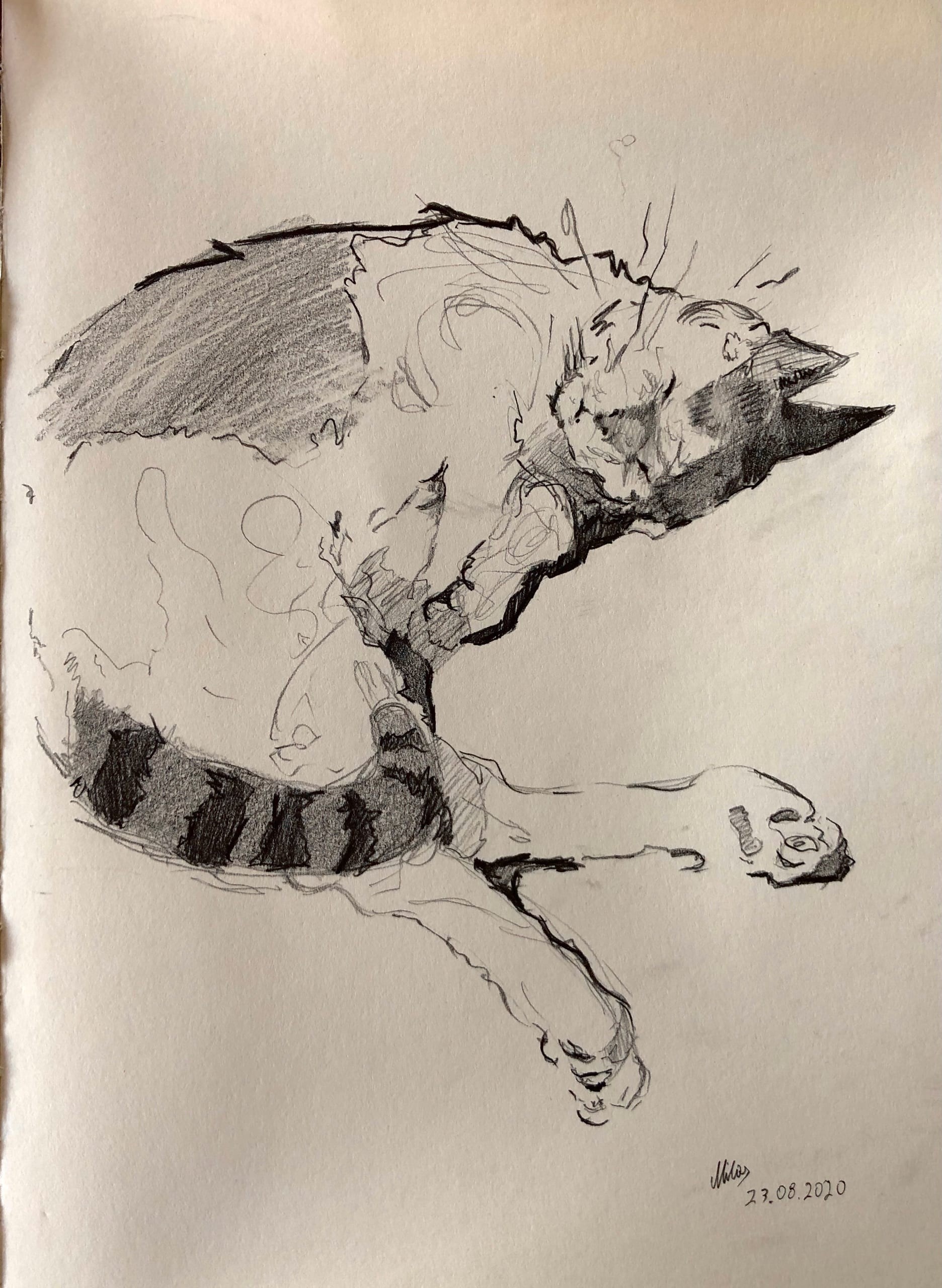 work/drawings/IMG_7659.jpg