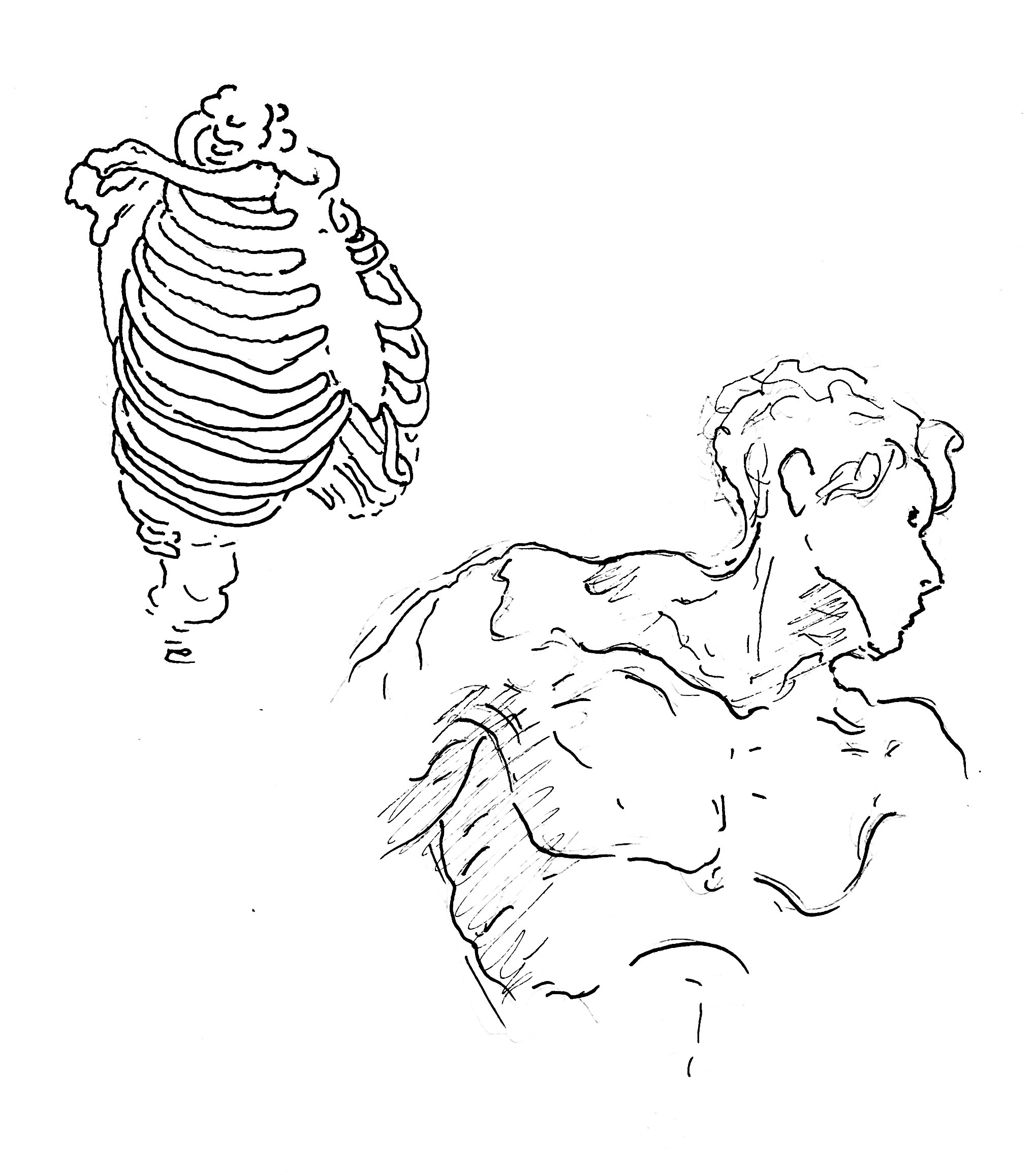 Anatomy 3