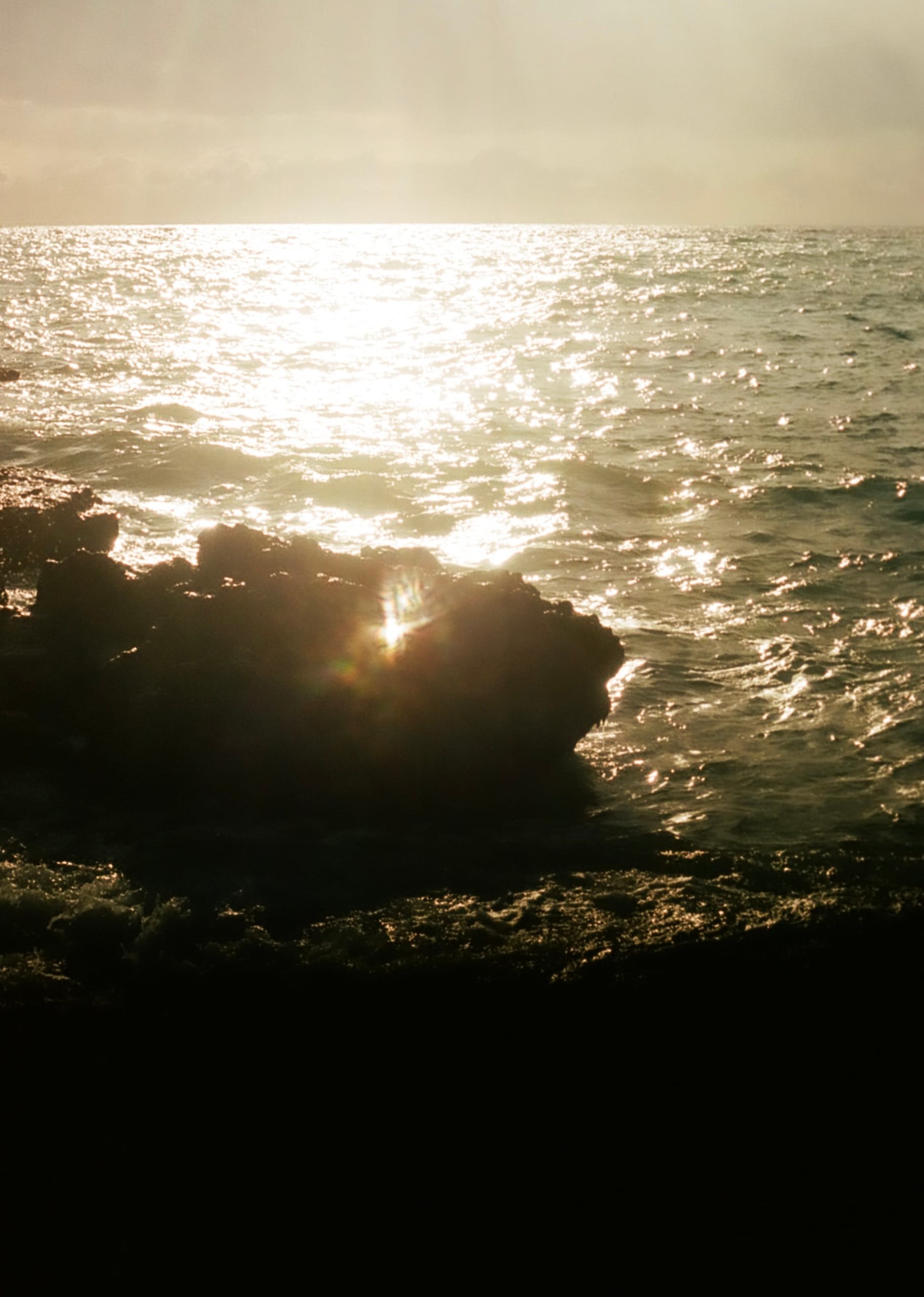 work/films/IMG_3673.JPG